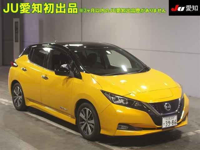 Nissan LEAF 2019 8484803-0