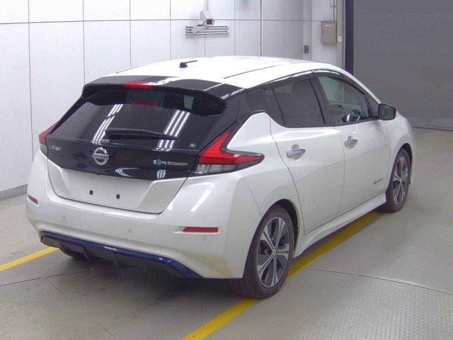 Nissan LEAF 2018 8484844-4