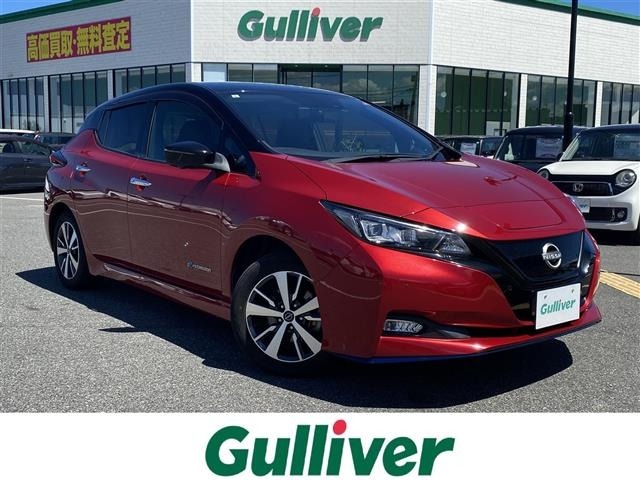 Nissan LEAF 2021 8485286-0
