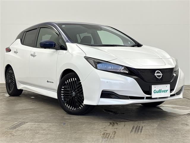 Nissan LEAF 2024 8485289-0