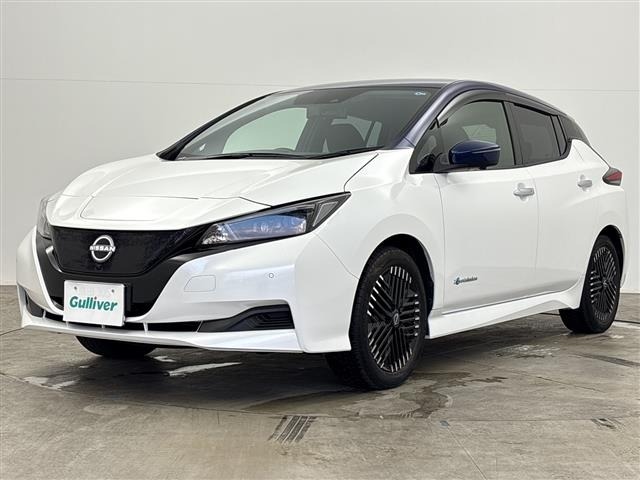 Nissan LEAF 2024 8485289-20