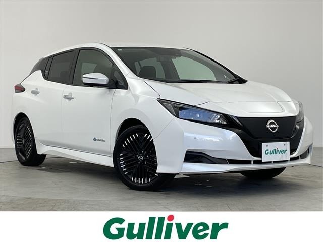 Nissan LEAF 2024 8485318-0