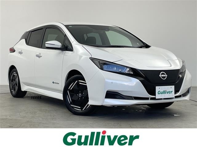 Nissan LEAF 2025 8485353-0