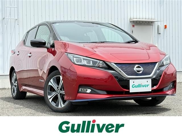 Nissan LEAF 2019 8485396-0