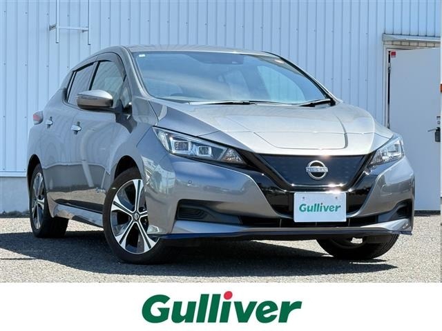 Nissan LEAF 2022 8485470-0