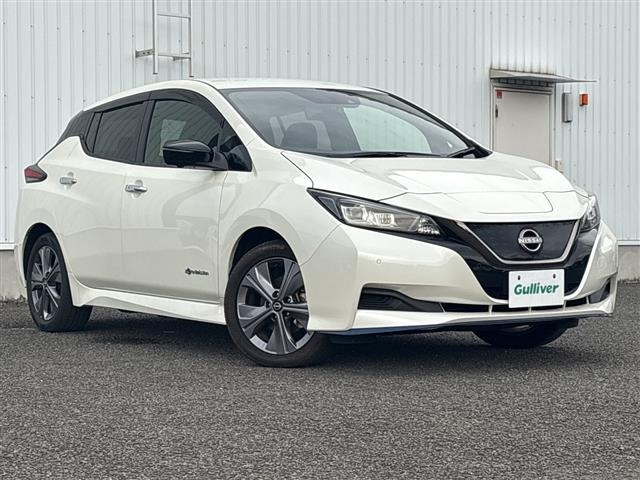Nissan LEAF 2021 8485472-0