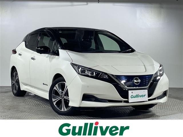 Nissan LEAF 2020 8485500-0