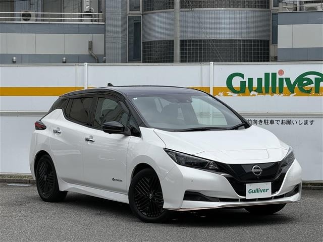 Nissan LEAF 2024 8485527-0