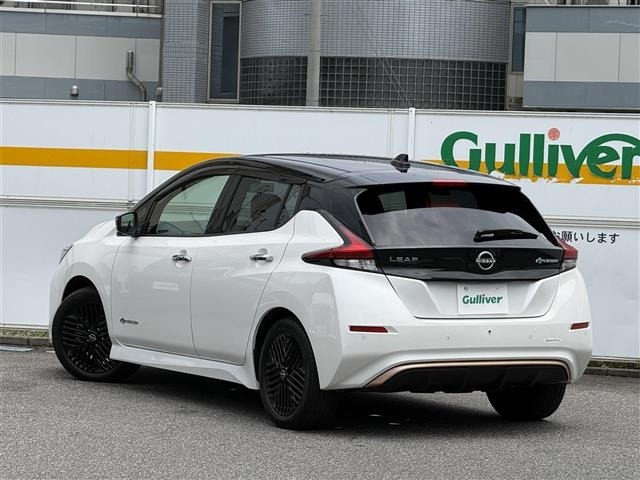 Nissan LEAF 2024 8485527-13