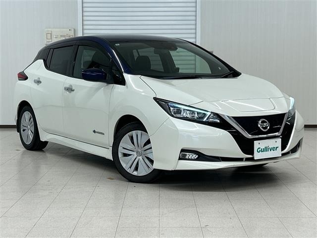 Nissan LEAF 2018 8485577-0