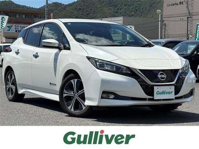 Nissan LEAF 2019 8485848-0