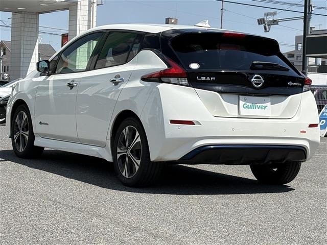 Nissan LEAF 2019 8485848-13