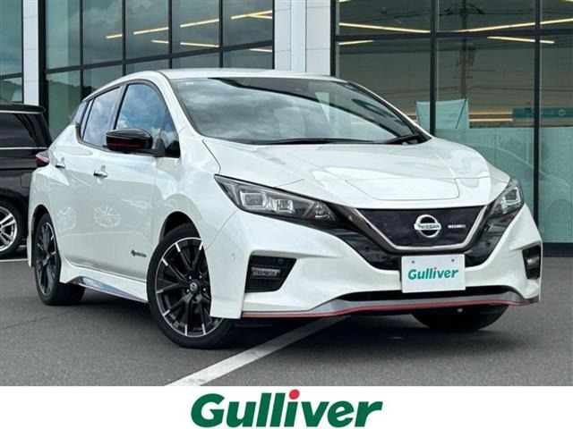Nissan LEAF 2019 8485944-0
