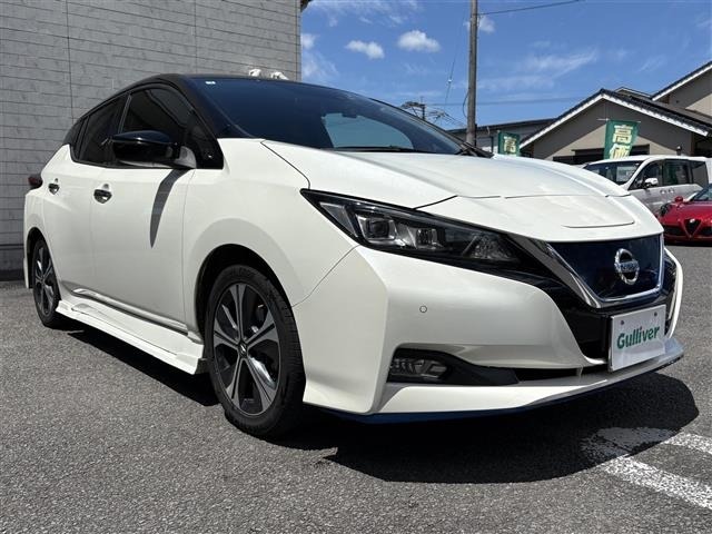 Nissan LEAF 2019 8485946-0