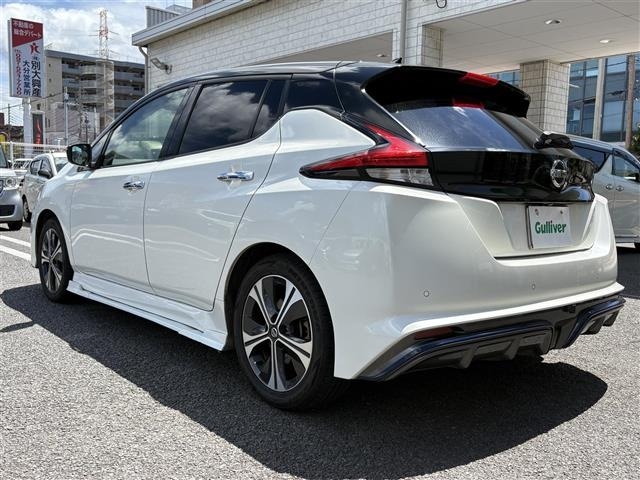 Nissan LEAF 2019 8485946-14