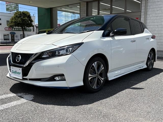 Nissan LEAF 2019 8485946-16