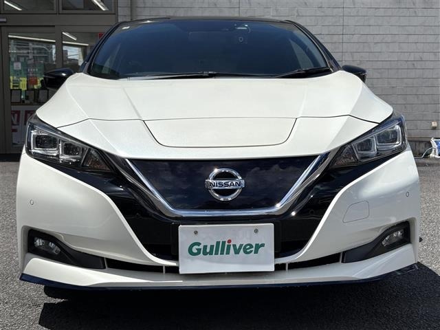 Nissan LEAF 2019 8485946-17