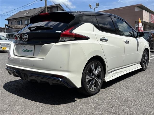 Nissan LEAF 2019 8485946-19