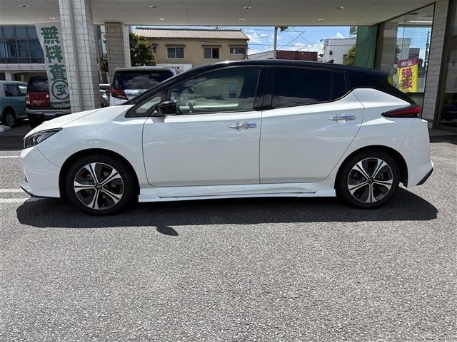 Nissan LEAF 2019 8485946-22