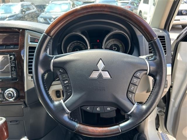 Mitsubishi PAJERO 2019 8491020-15