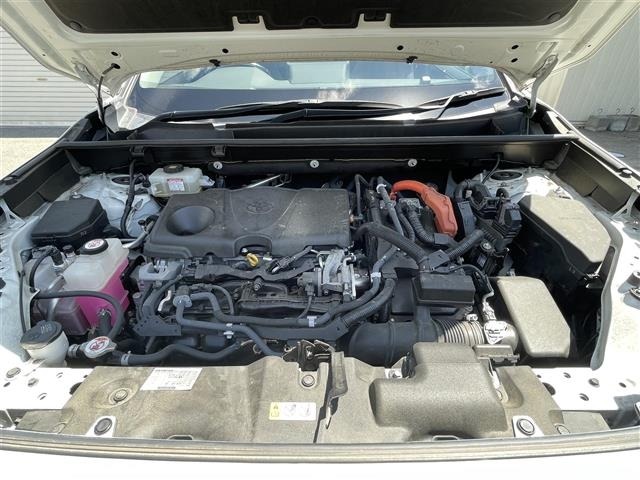 Toyota RAV4 2019 8481861-5