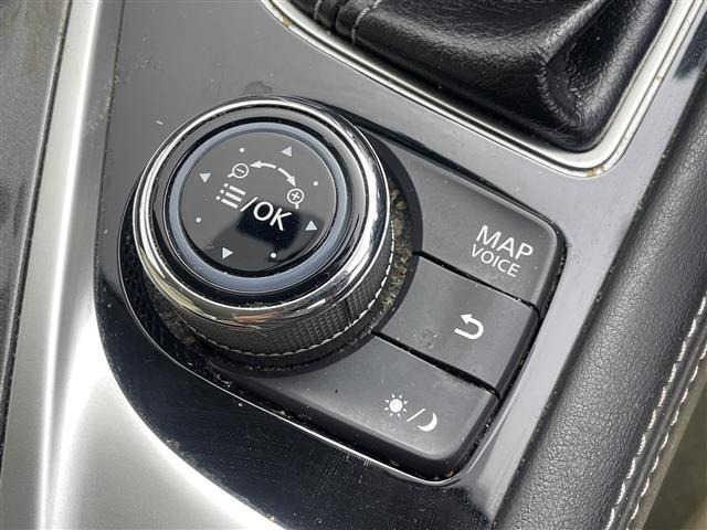 Nissan SKYLINE 2014 8509883-11