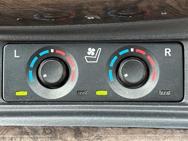 Toyota ALPHARD 2021 8515317-21