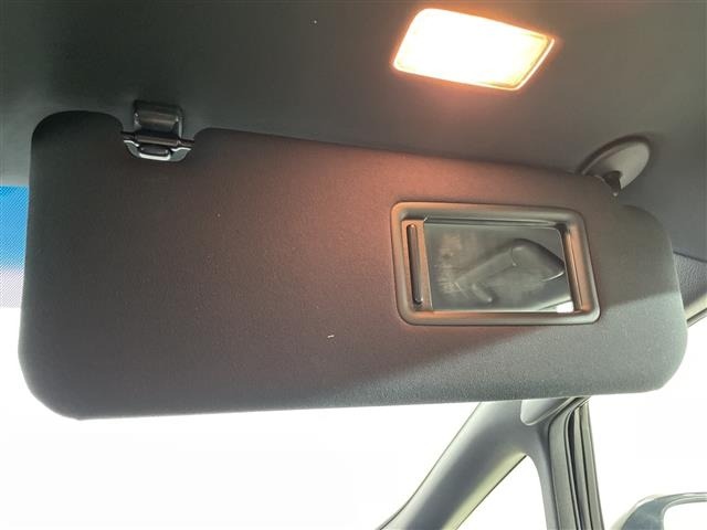 Toyota ALPHARD 2021 8515325-12