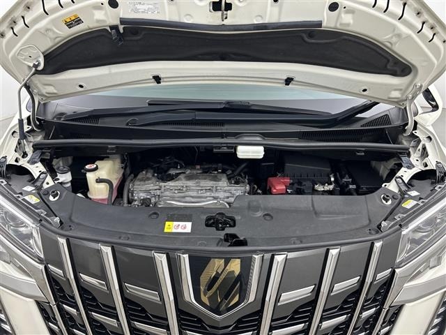 Toyota ALPHARD 2020 8515373-13