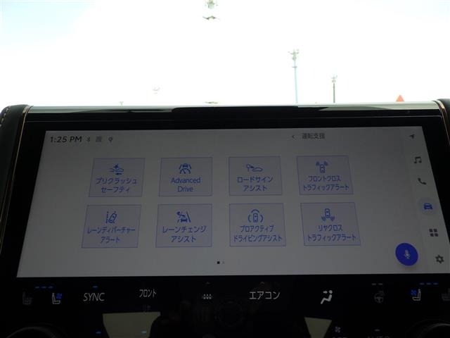 Toyota ALPHARD 2024 8515376-19