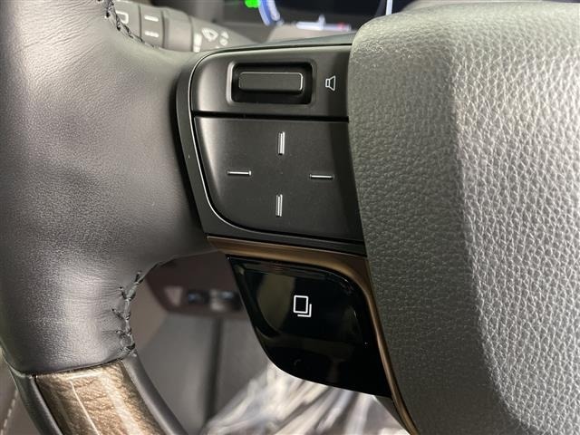 Toyota ALPHARD 2024 8515377-10