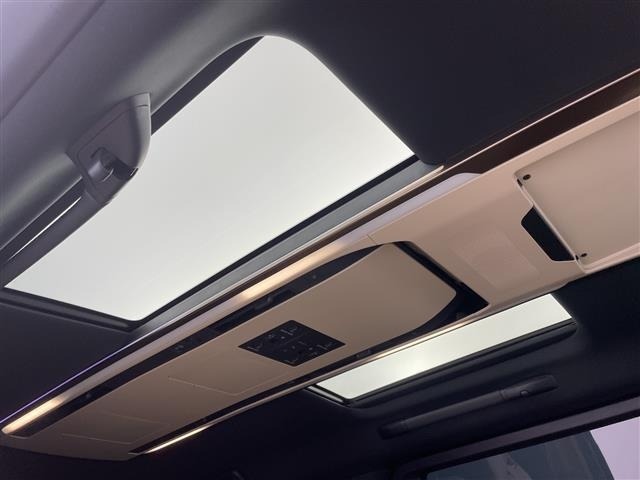Toyota ALPHARD 2024 8515377-16