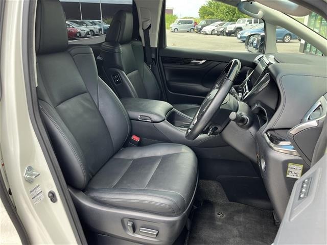 Toyota ALPHARD 2019 8515384-10