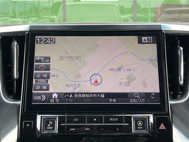Toyota ALPHARD 2019 8515384-15