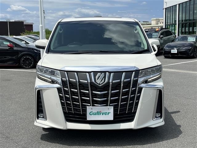 Toyota ALPHARD 2019 8515384-22