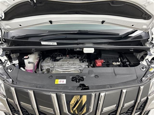 Toyota ALPHARD 2021 8515387-14
