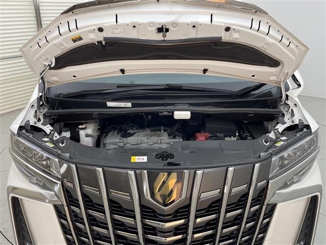 Toyota ALPHARD 2021 8515388-14