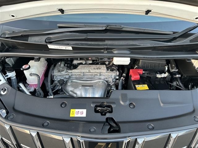 Toyota ALPHARD 2021 8515393-14