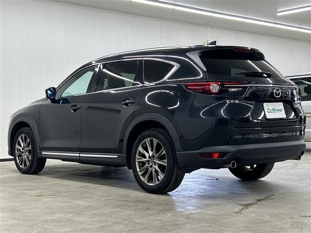 Mazda CX-8 2019 8513627-13