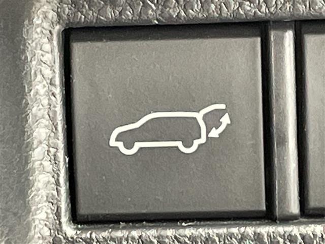 Toyota HARRIER 2023 8514919-20