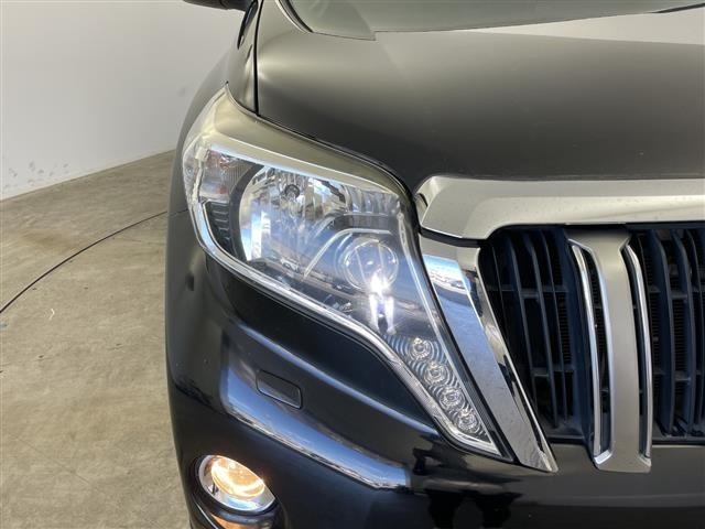 Toyota LAND CRUISER PRADO 2015 8515484-22