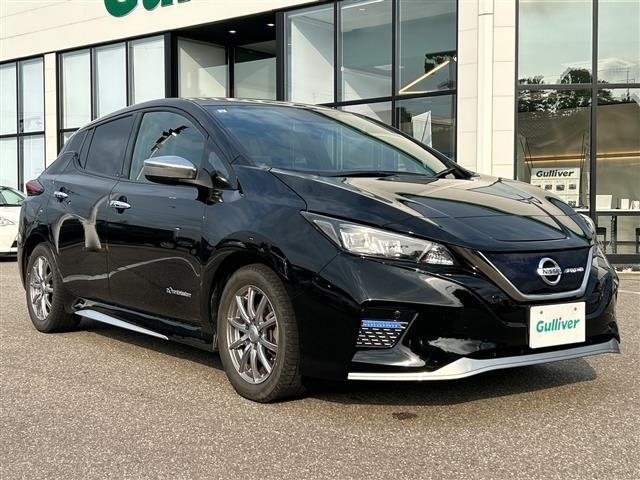 Nissan LEAF 2019 8511133-0