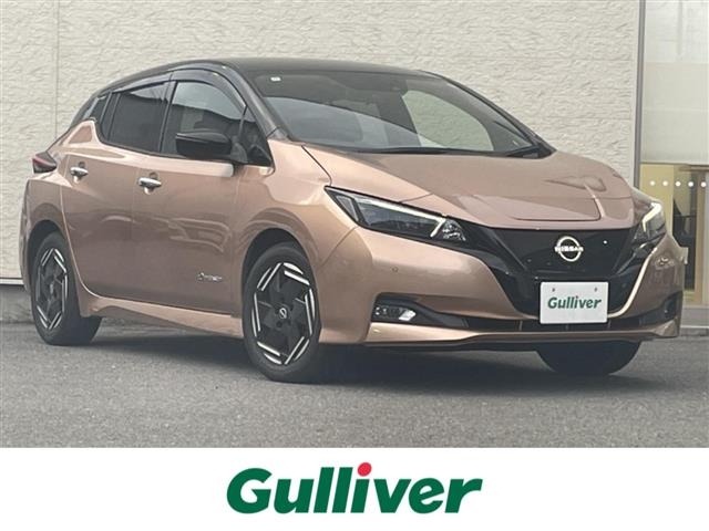 Nissan LEAF 2022 8511138-0