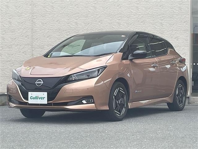 Nissan LEAF 2022 8511138-4