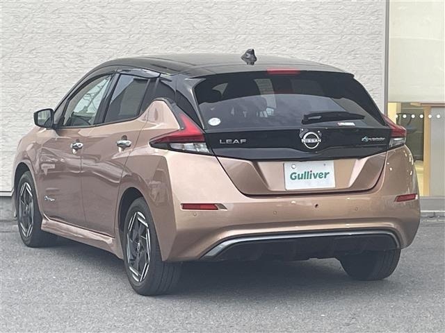Nissan LEAF 2022 8511138-6