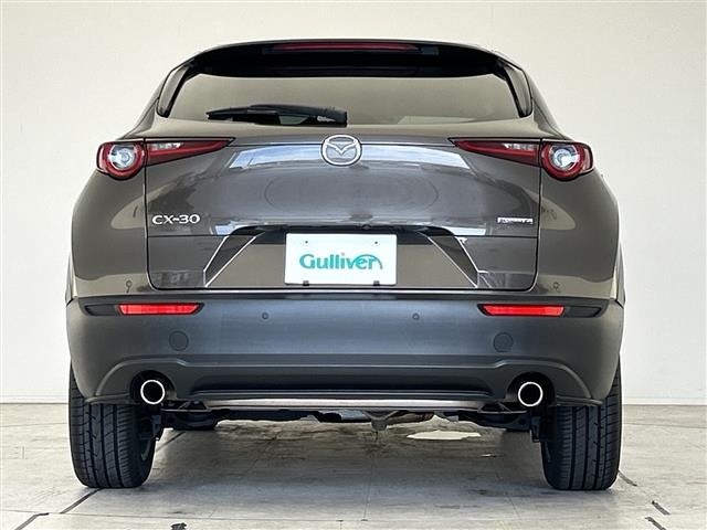 Mazda CX-30 2019 8520669-13