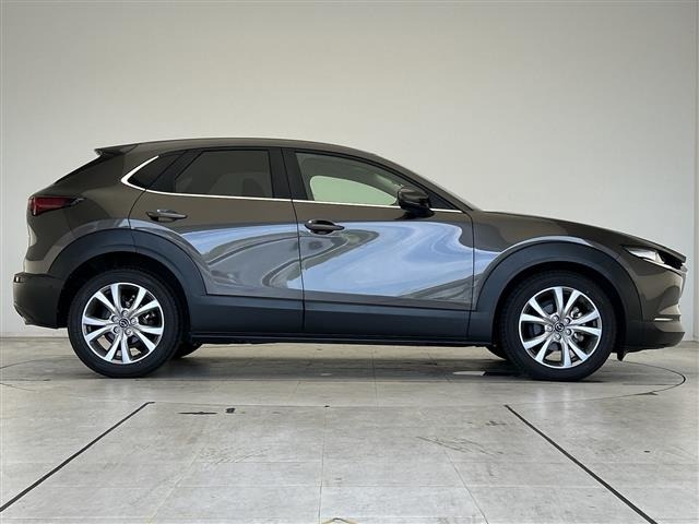 Mazda CX-30 2019 8520669-20
