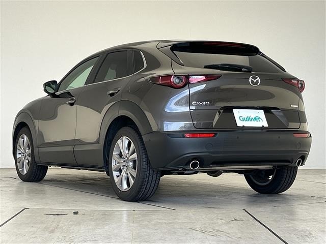 Mazda CX-30 2019 8520669-22