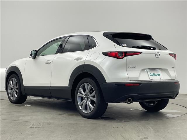 Mazda CX-30 2023 8520891-13
