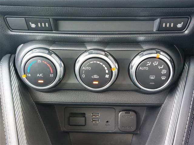 Mazda DEMIO 2017 8529462-16